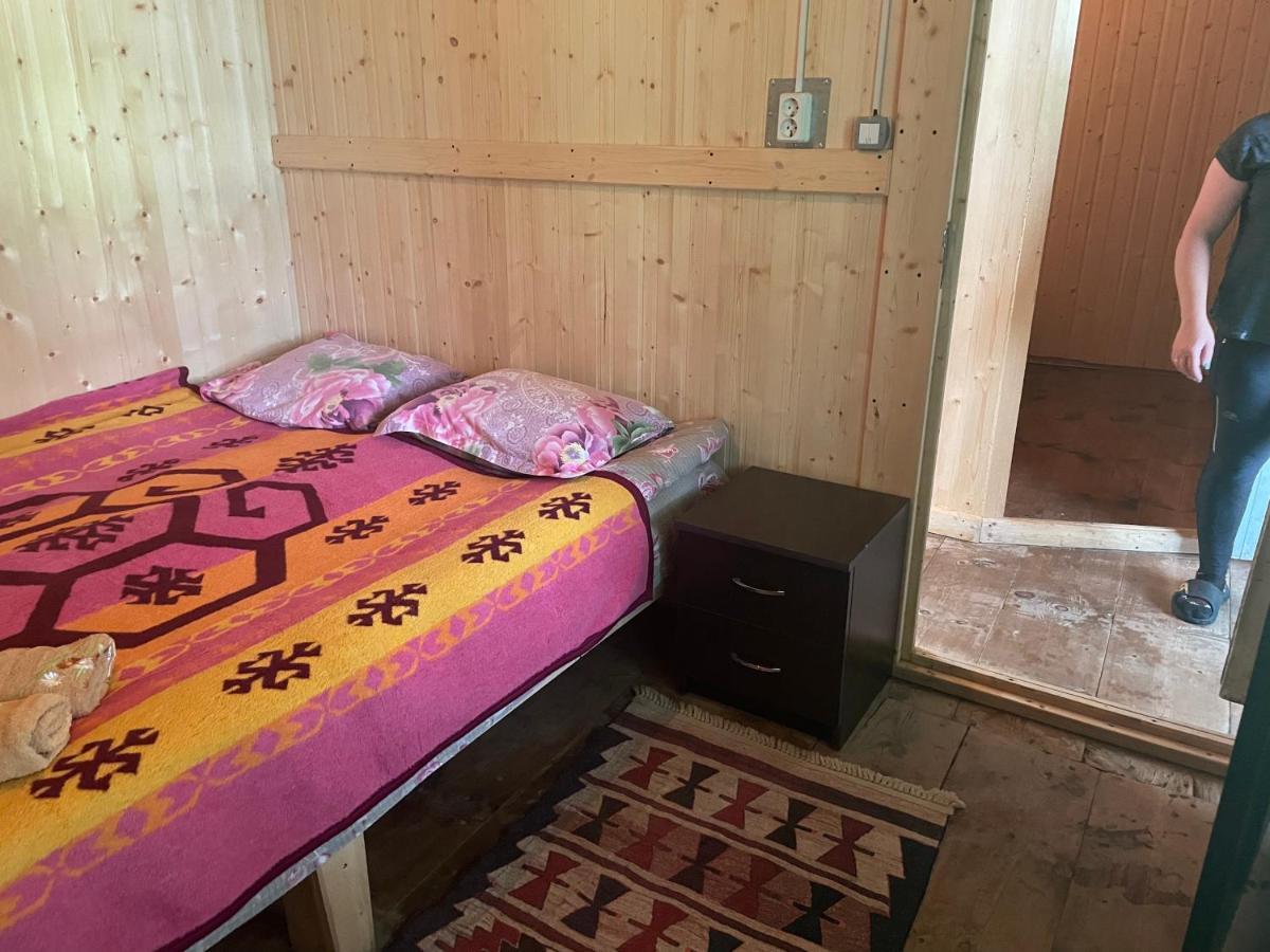 Gunter Guest House Adishi المظهر الخارجي الصورة