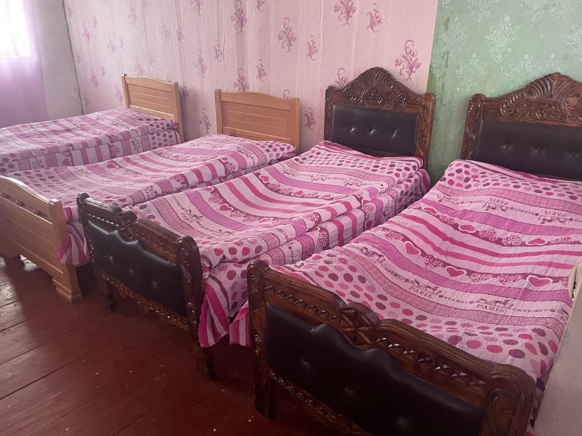 Gunter Guest House Adishi المظهر الخارجي الصورة